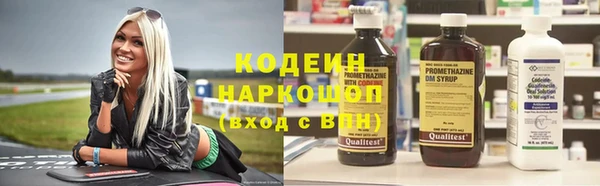 хмурый Алексин