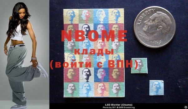 хмурый Алексин