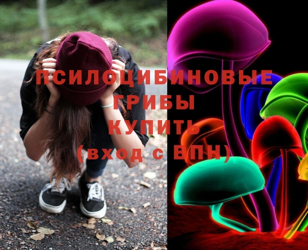 хмурый Алексин