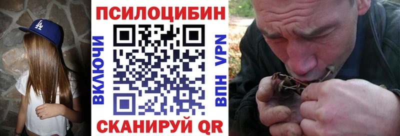 kraken ONION  Дмитров  Псилоцибиновые грибы мухоморы 